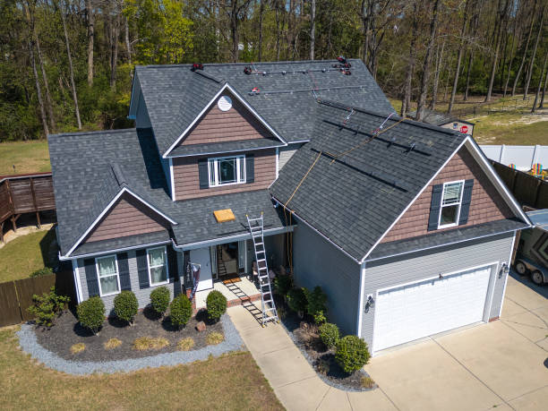 Best Roof Moss and Algae Removal  in Katy, TX